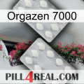 Orgazen 7000 17